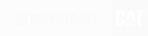 Borusan Makina — Cat